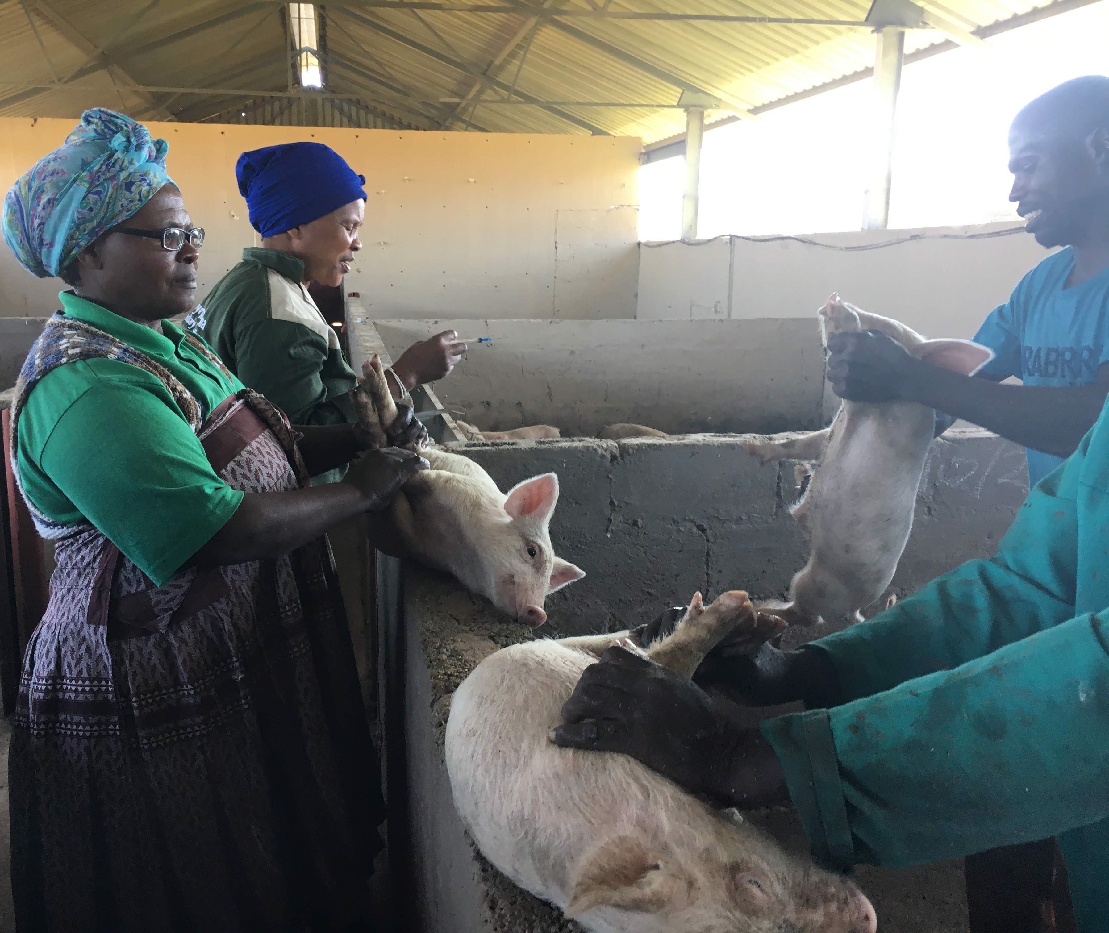 Bilatye and Mkhonjana